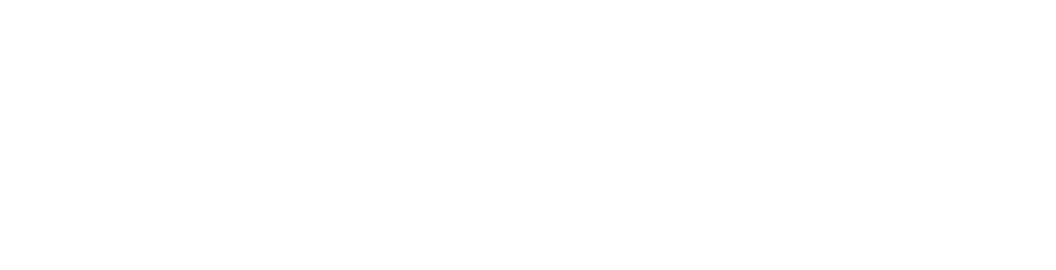 MEIXNER & HANUŠ a.s.