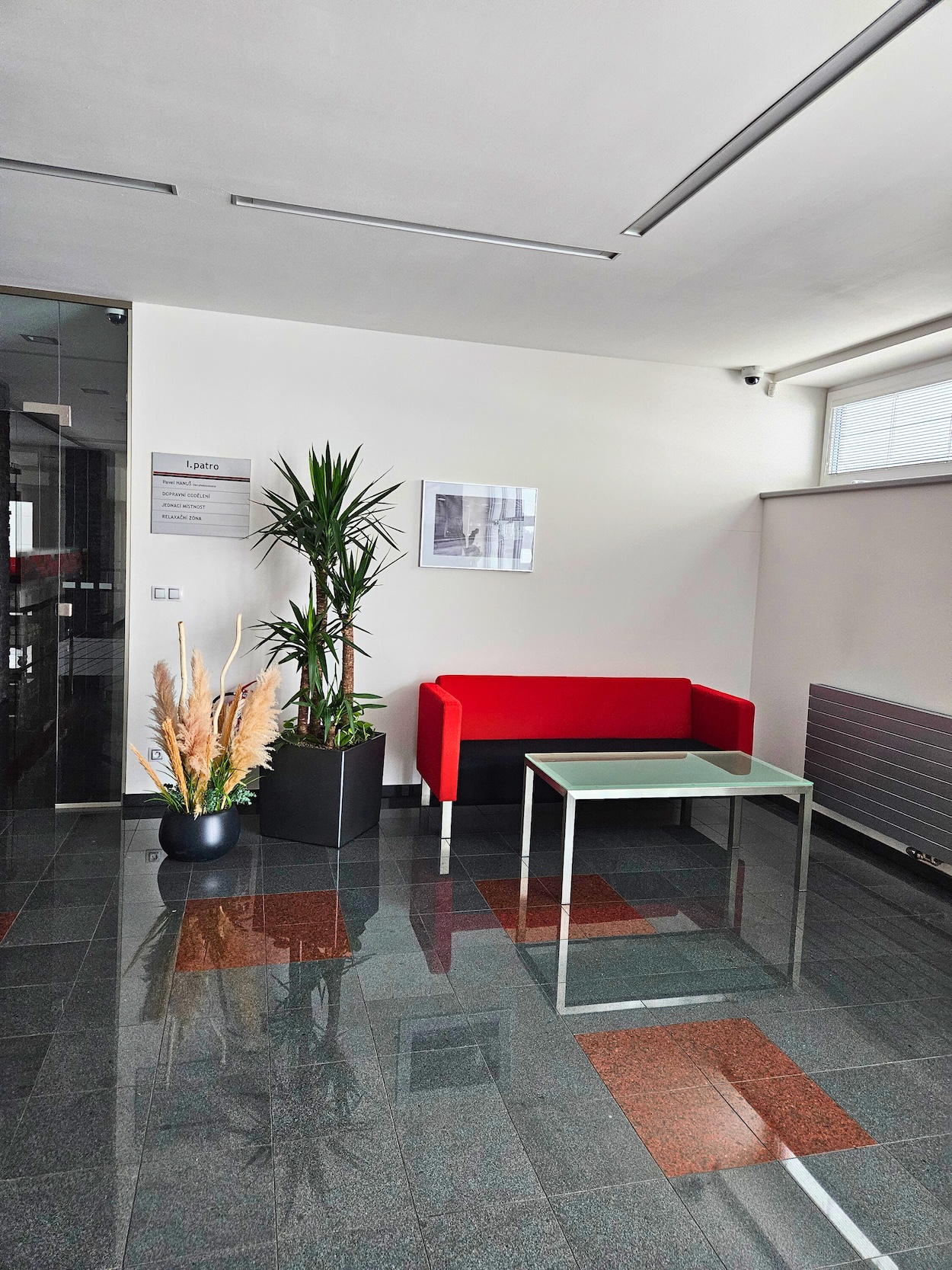 Zeleň v interiéru 3