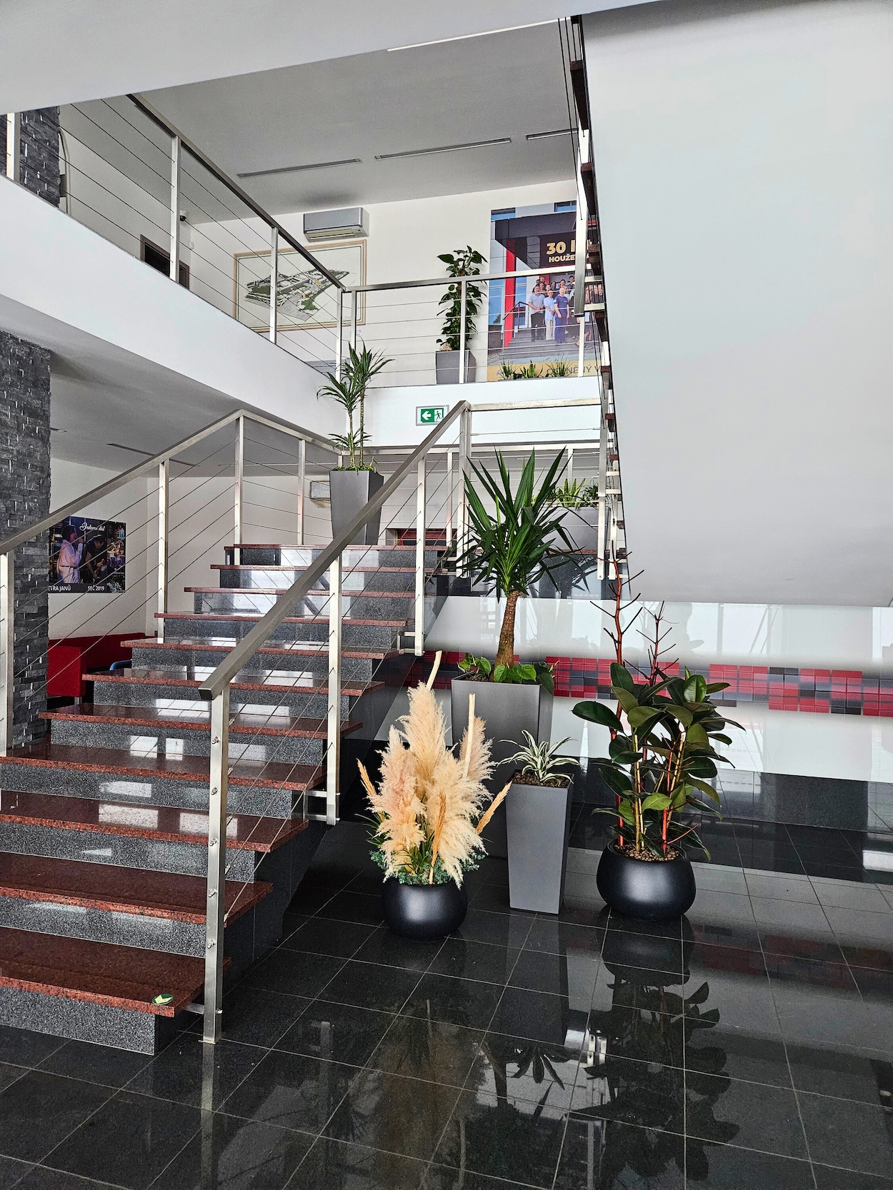 Zeleň v interiéru 5